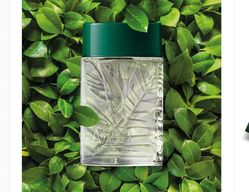 ARBO COLÔNIA 100ML