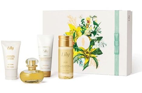 Kit Presente Lily